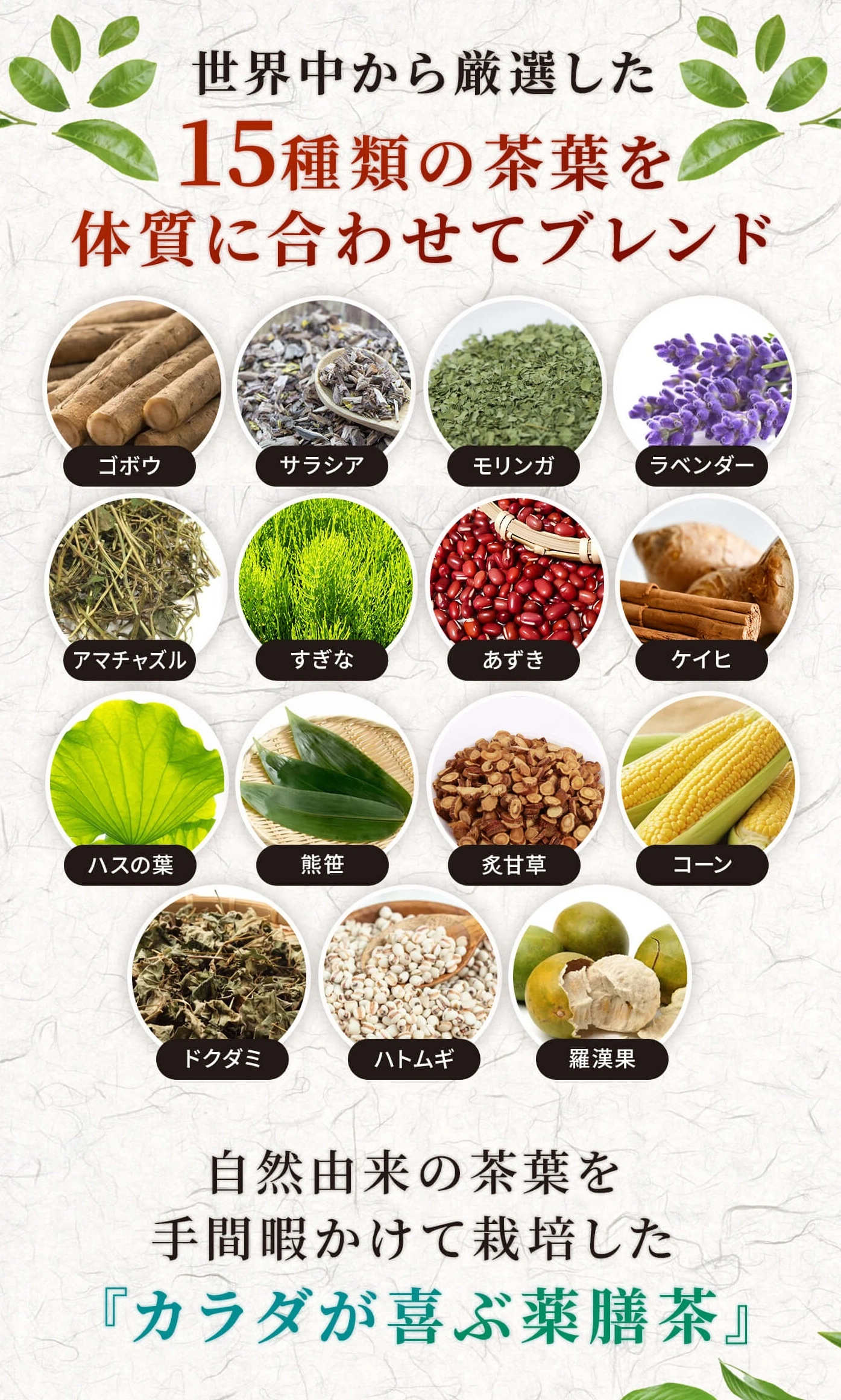 15種類の茶葉